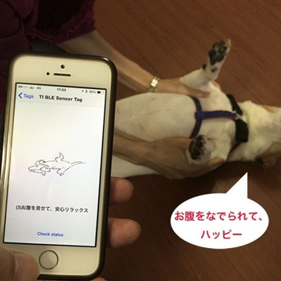 動(dòng)物語(yǔ)音翻譯軟件開(kāi)發(fā)還未火的原因