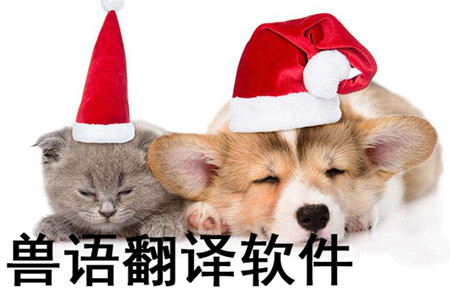 獸語(yǔ)翻譯器app開(kāi)發(fā) 和動(dòng)物交流無(wú)障礙