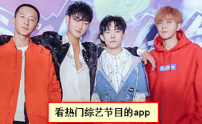 綜藝APP開(kāi)發(fā)怎樣構建自己的王國