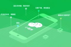 企業(yè)選擇定制開(kāi)發(fā)小程序優(yōu)勢