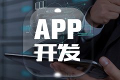 如何選擇app開(kāi)發(fā)公司？
