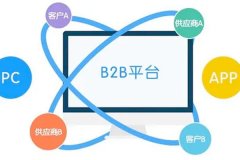 B2B商城軟件開(kāi)發(fā)有那些關(guān)鍵點(diǎn)和必要功能？