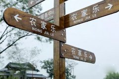 農家樂(lè )app制作安排多樣化農民生活體驗項目