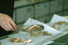 中藥app制作軟件為用戶(hù)提供便捷的中藥材知識和服務(wù)